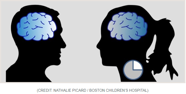 How the antidepressant ketamine rapidly awakens the brain and why its effects vary more in women