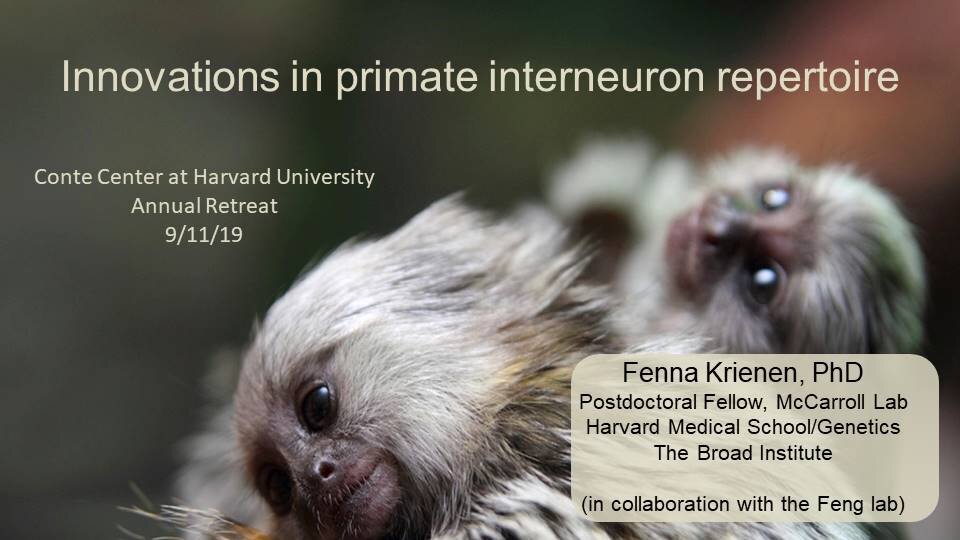 Dr. Fenna Krienen, Feng Lab at MIT, presents at Conte 2019 Retreat