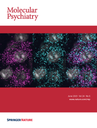 Molecular Psychiatry, Volume 24 Issue 6, June 2019