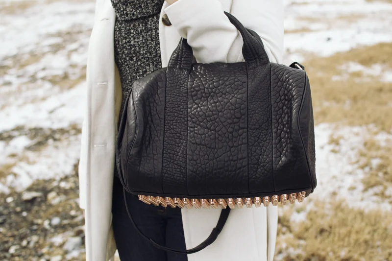 alexander-wang-rocco.jpg