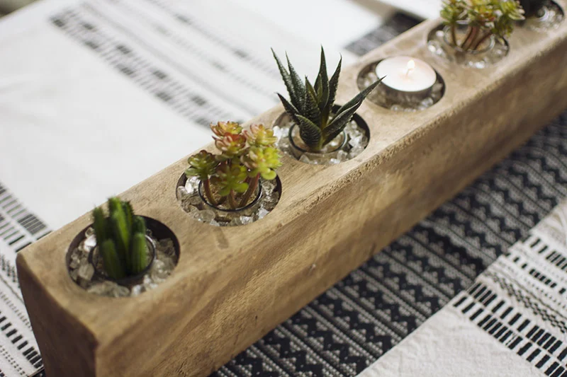 plants-8.jpg