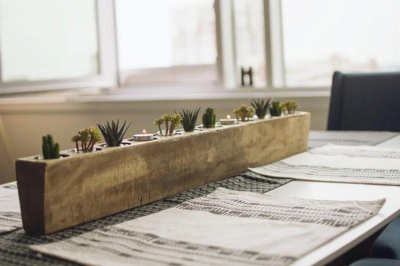 plants-7.jpg