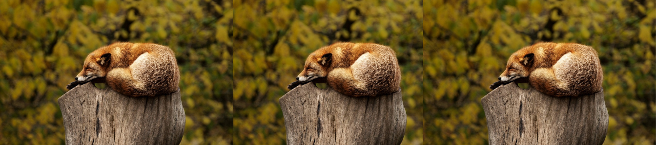 Blog+Post+Header+Image.png