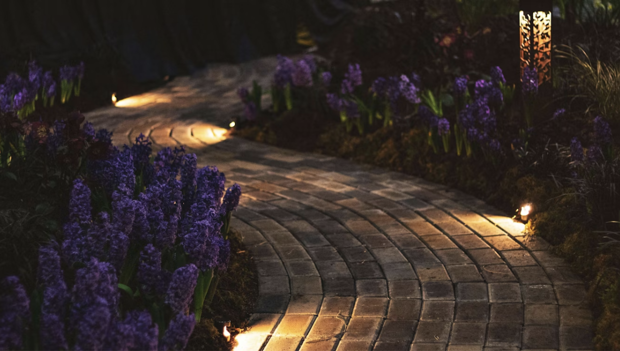 The Hidden Features That Will Finally Make Your Garden Pop!