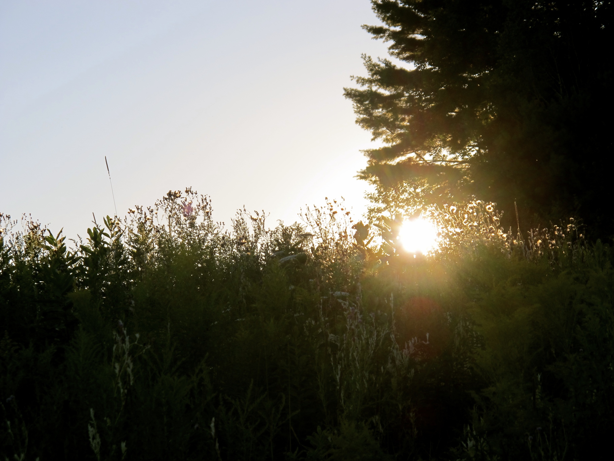  Late August and early September evenings yield peaceful sunsets along the Presumpscot. 