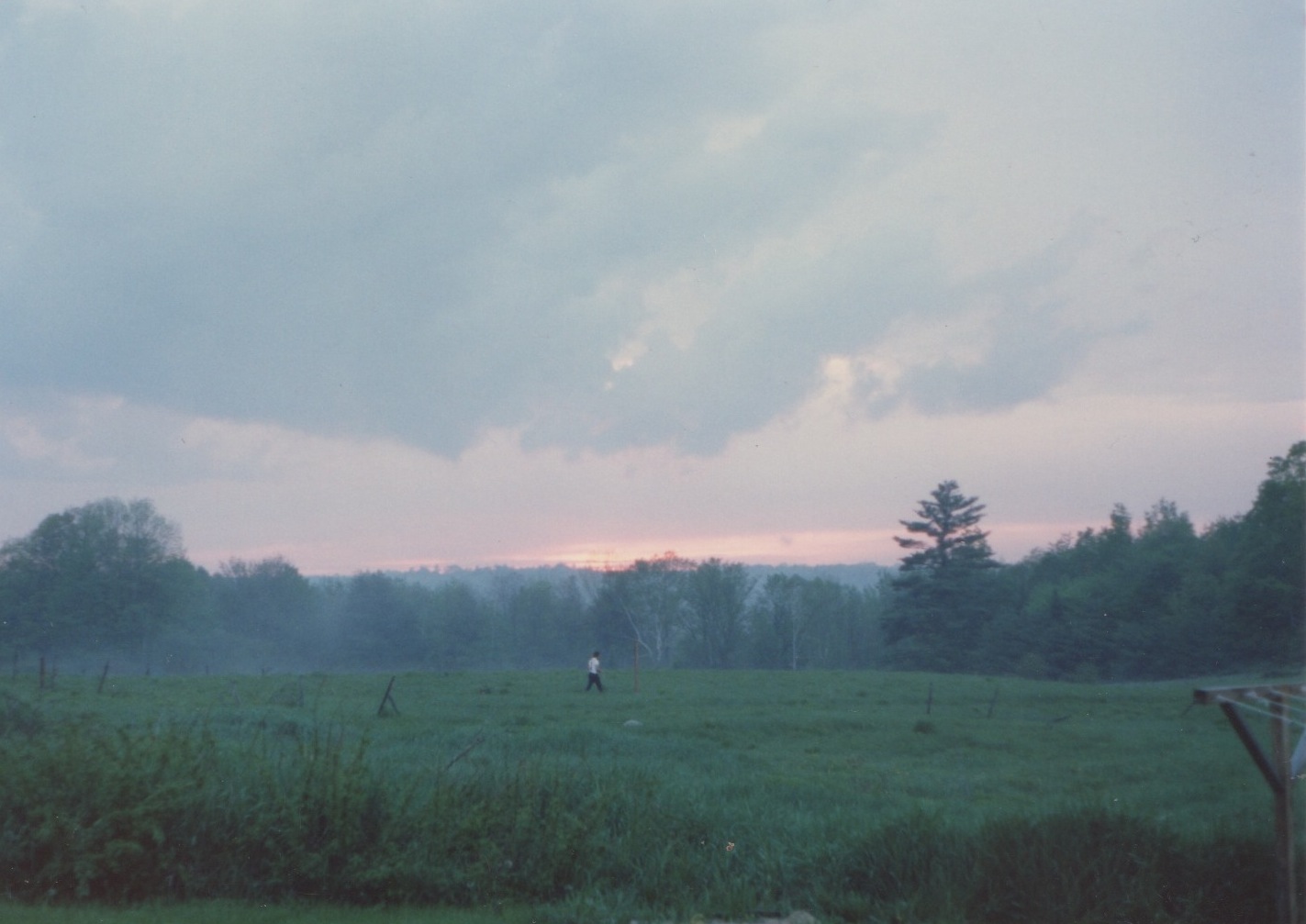  Archive photo: the field next to my home before the housing development was put in. 