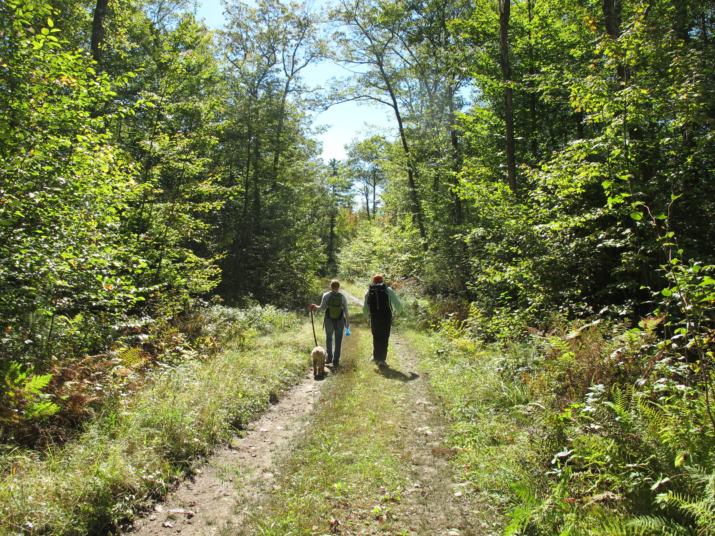  PRLT's Executive Director Stefan Jackson walks with area resident Karen on a portion of the Sebago to Sea Trail. 