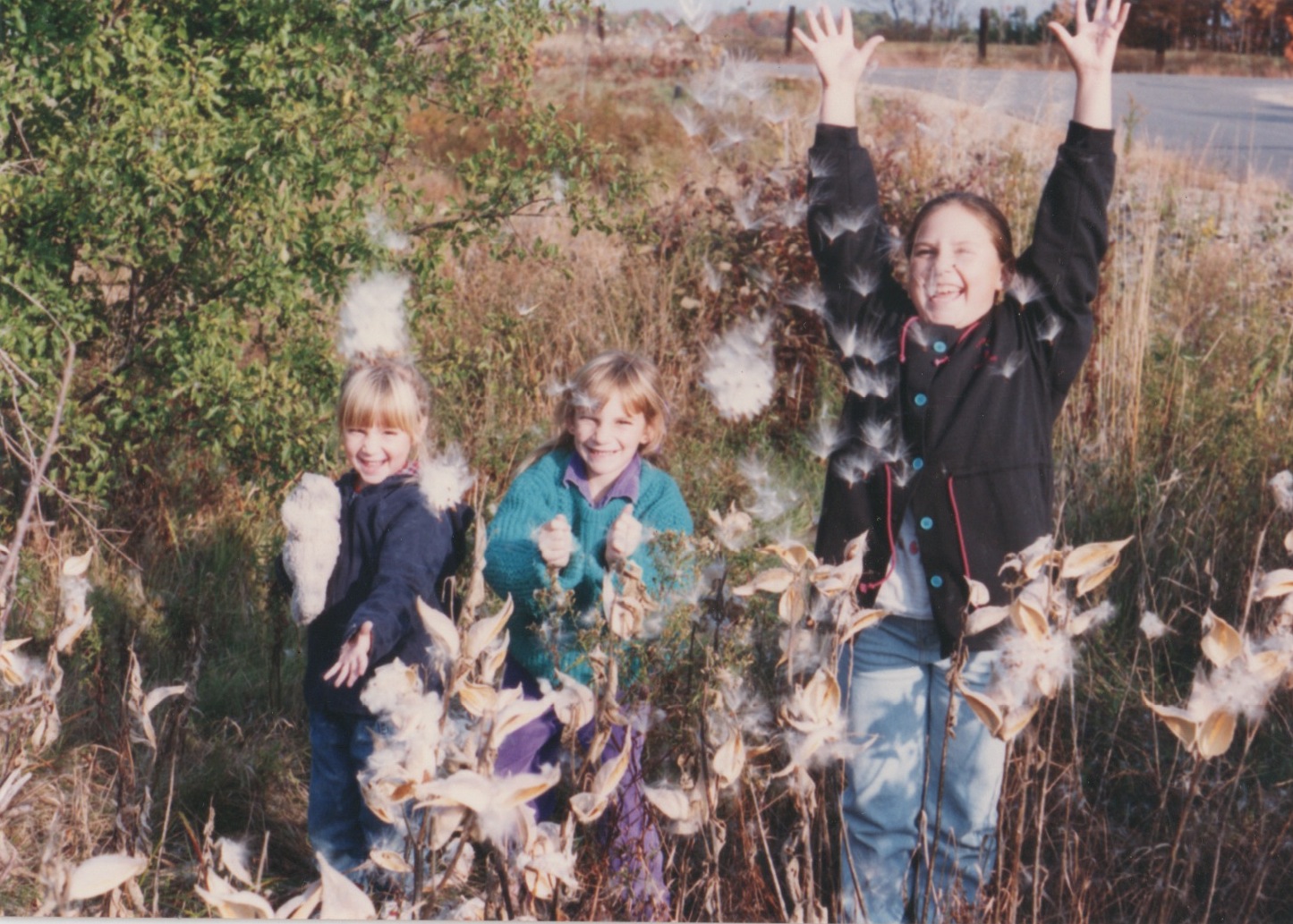  Archive photo: Sisters finding wonder in fluffs of milkweed seeds.&nbsp;Left to right: Emma, Rachel, and Jessie. 