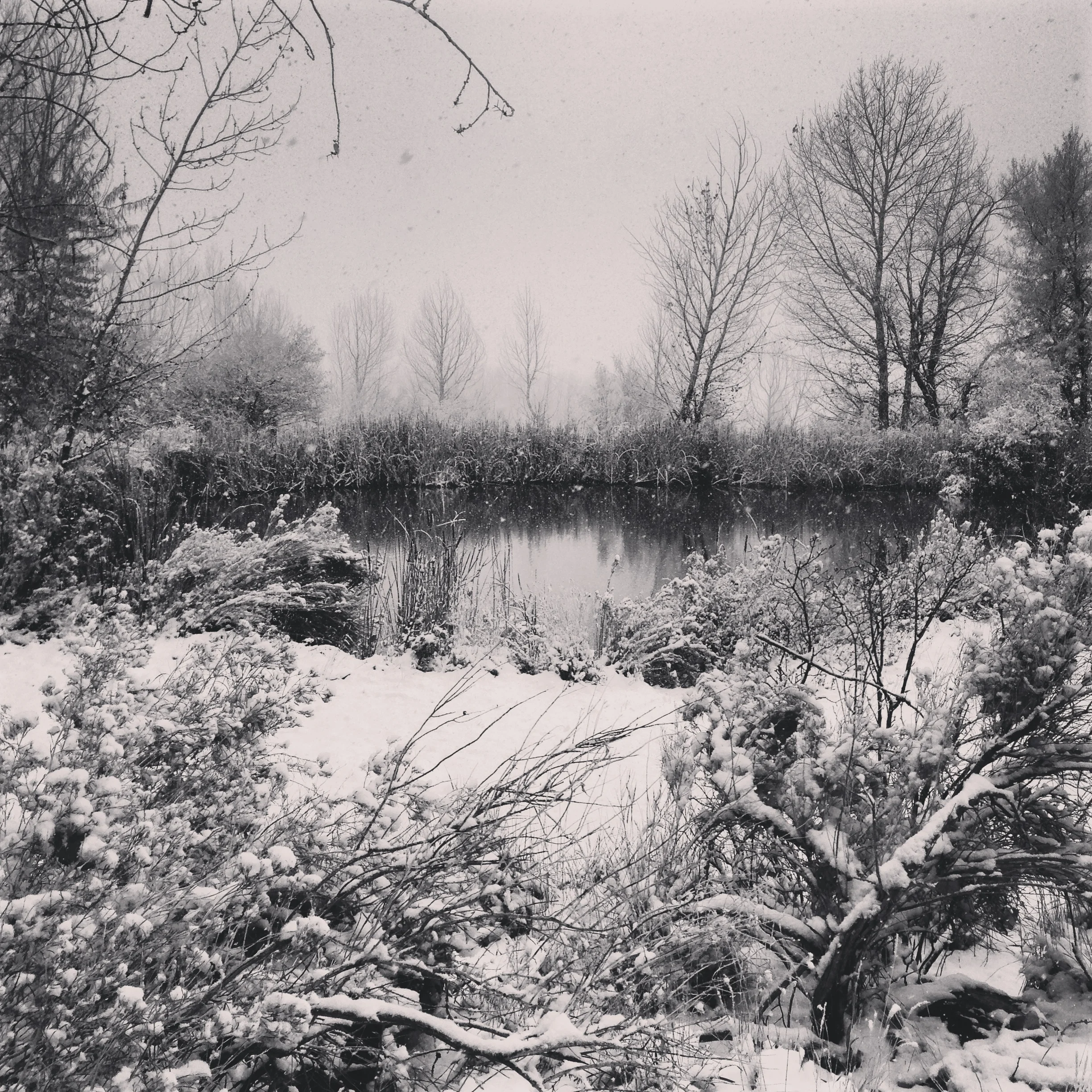 winter.jpg