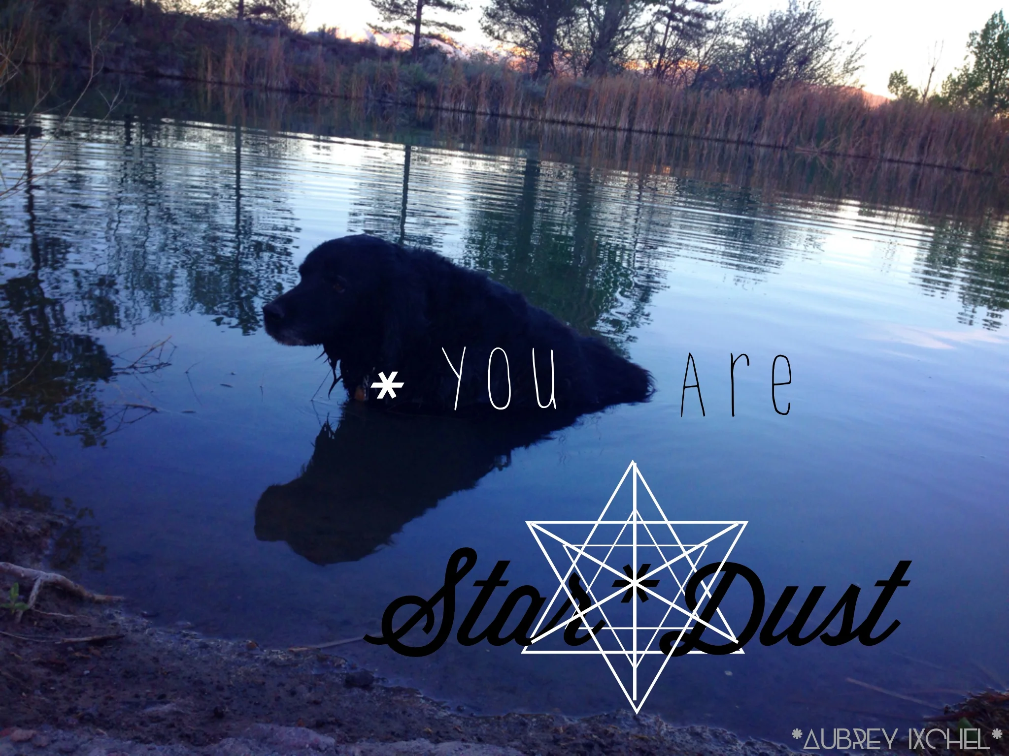 <3 Star*Dust