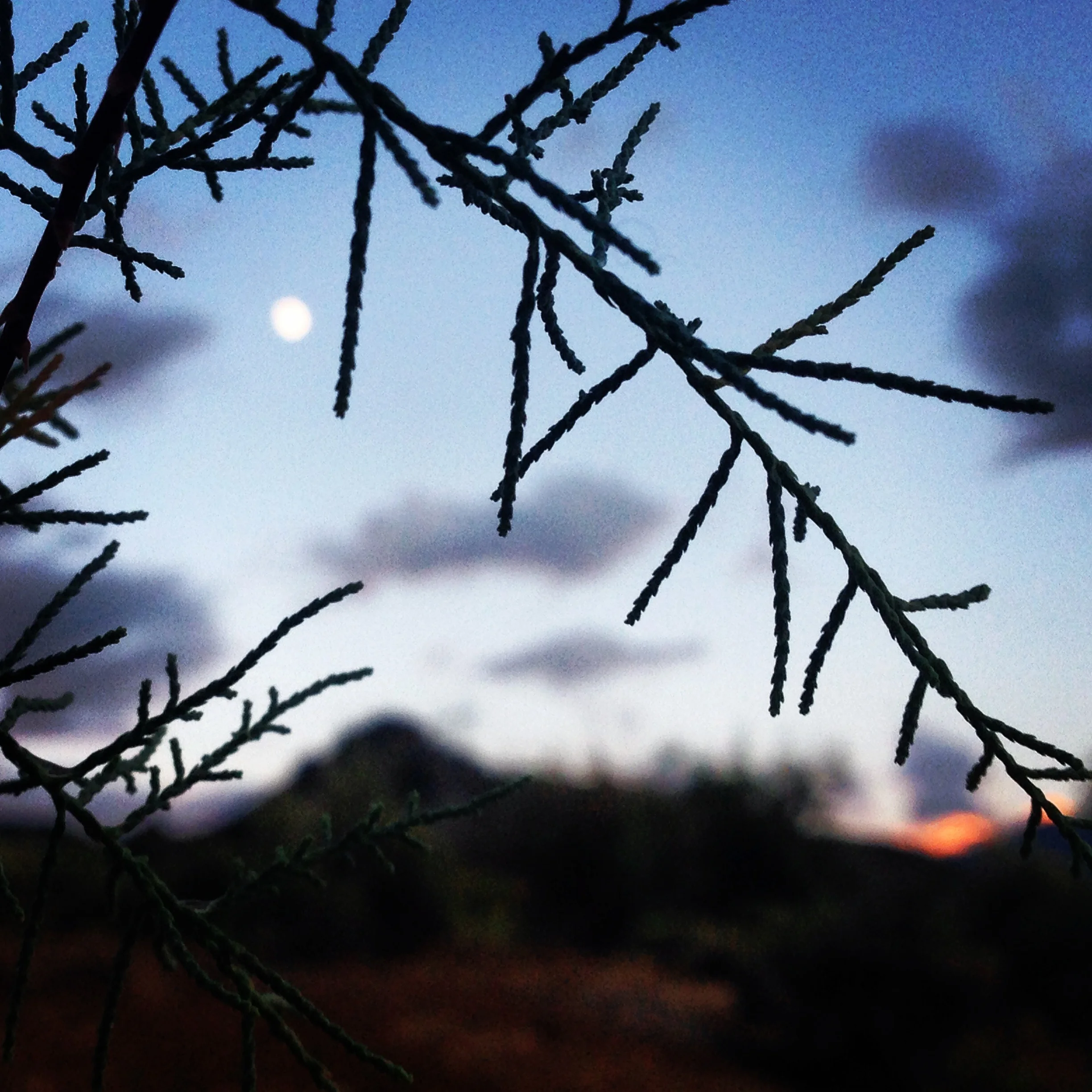 focus on the moon*