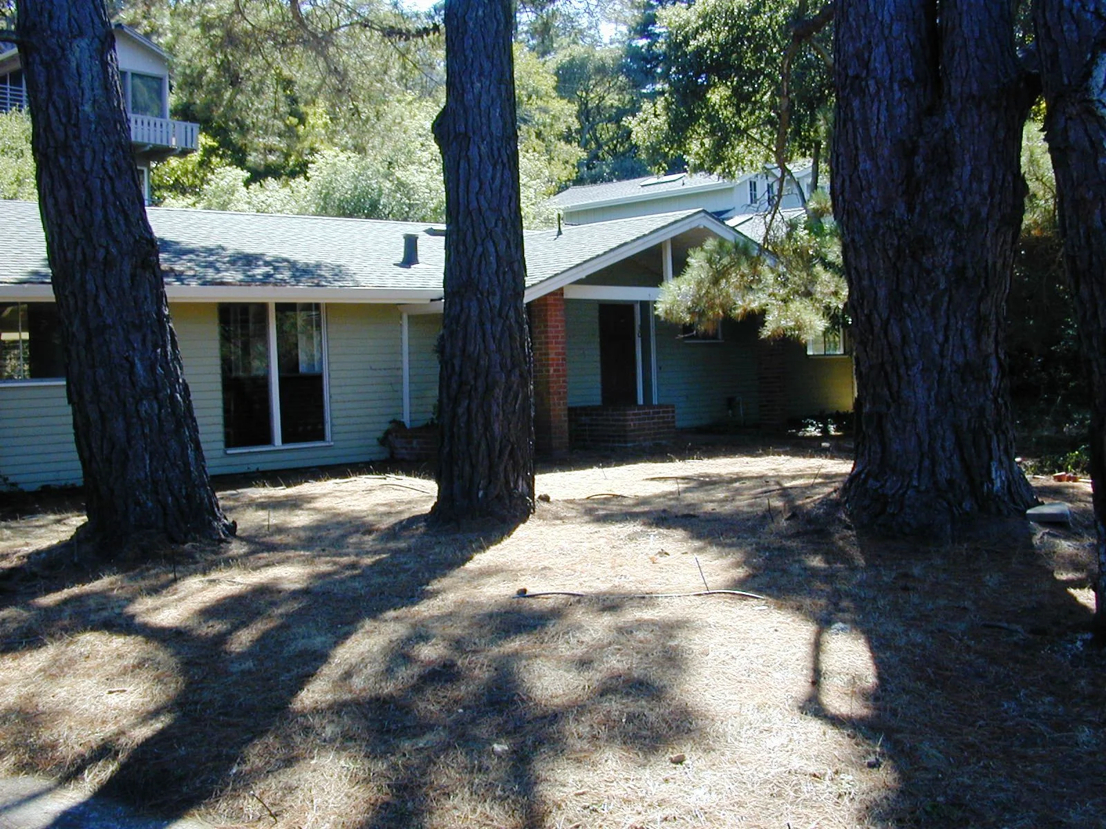 Front before