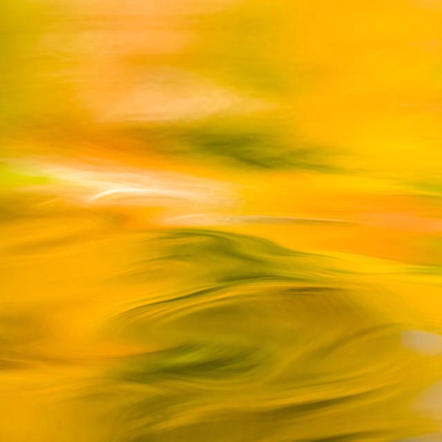 Orange annd a Taste of Green