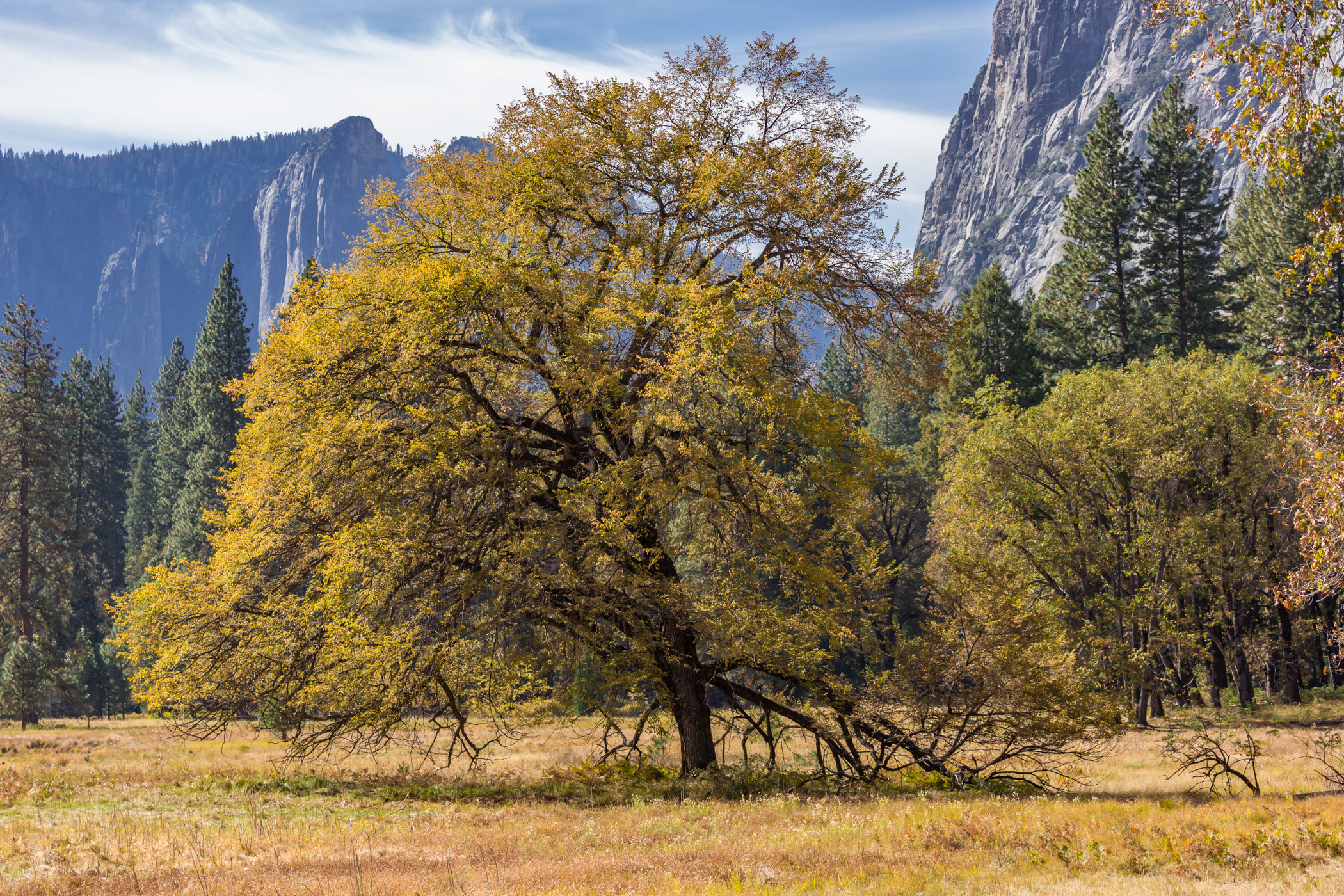 Tranquil Valley