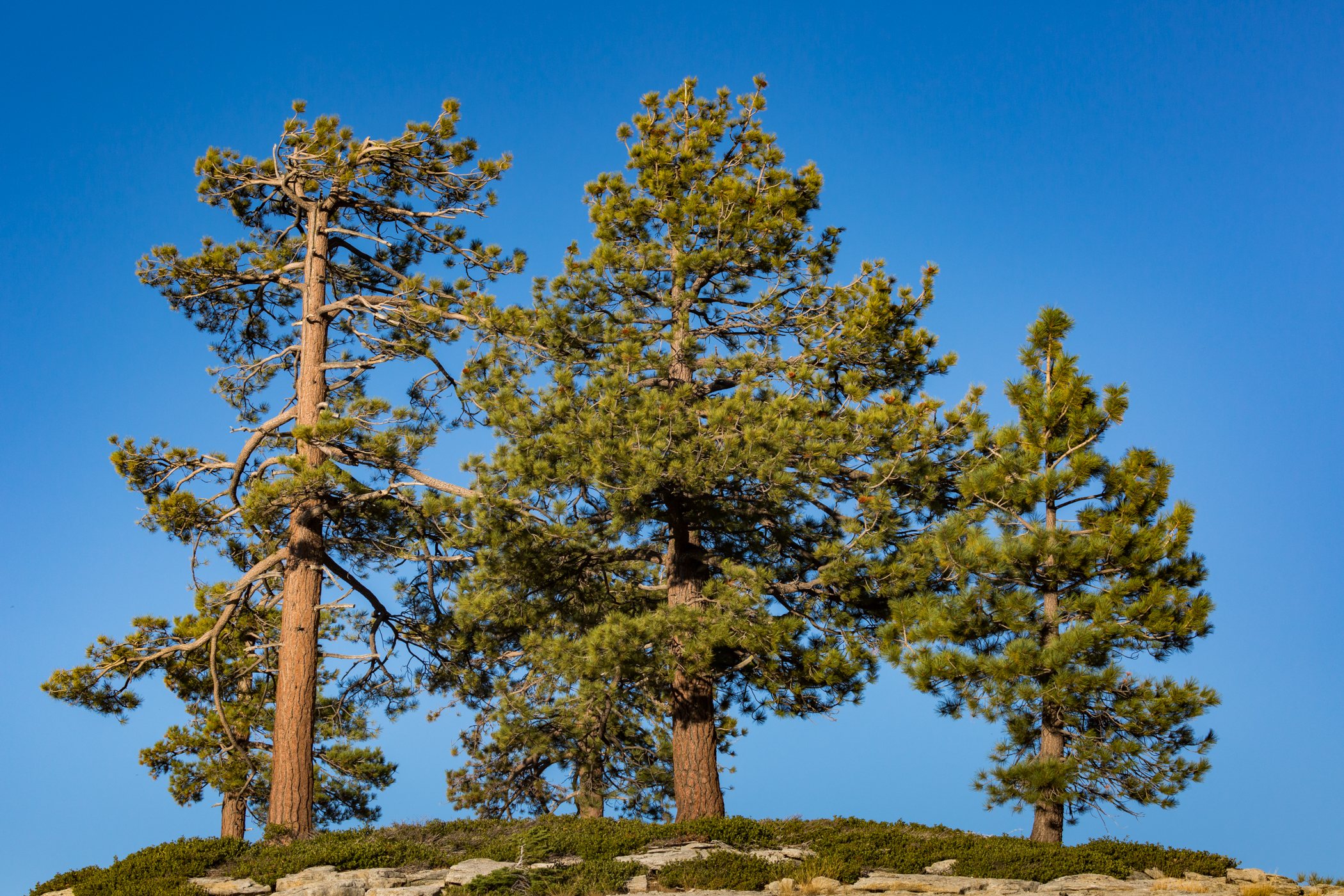 yosemite-254.jpg