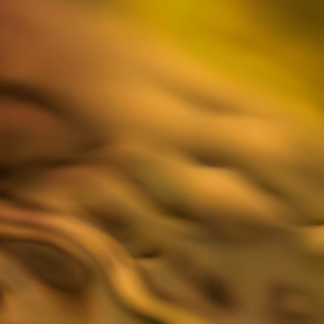 Soft Gold