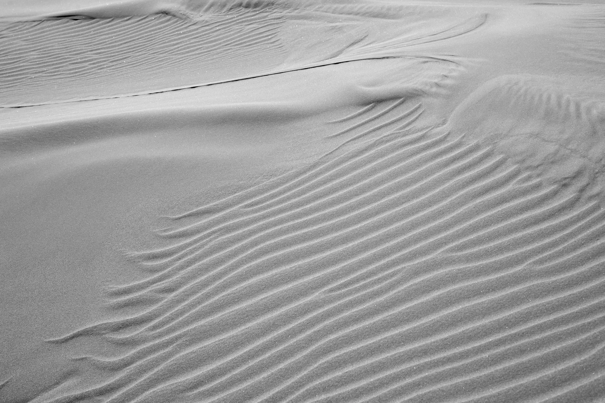 Dunes 21