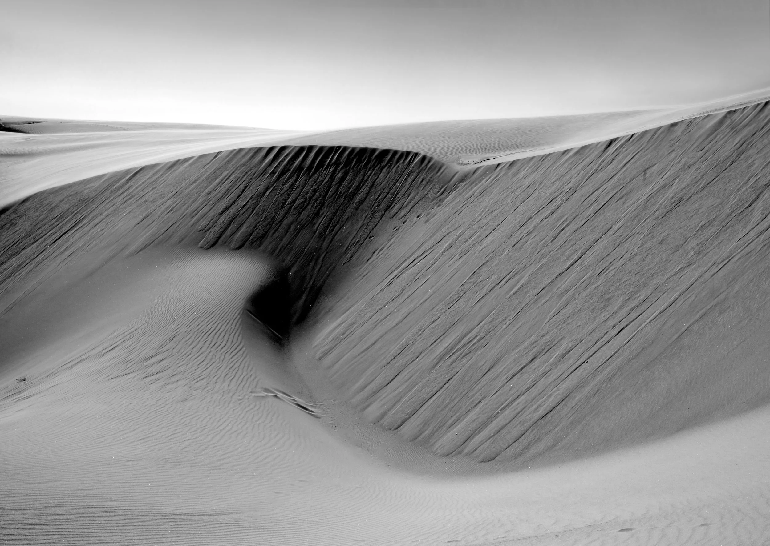 Dunes 37