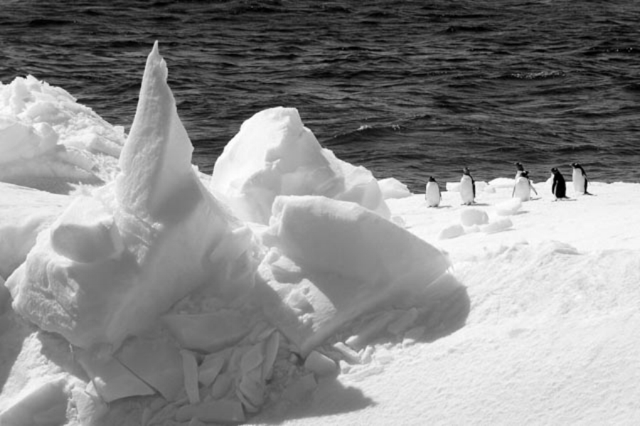 _MG_3369-Edit-Edit 2.jpg