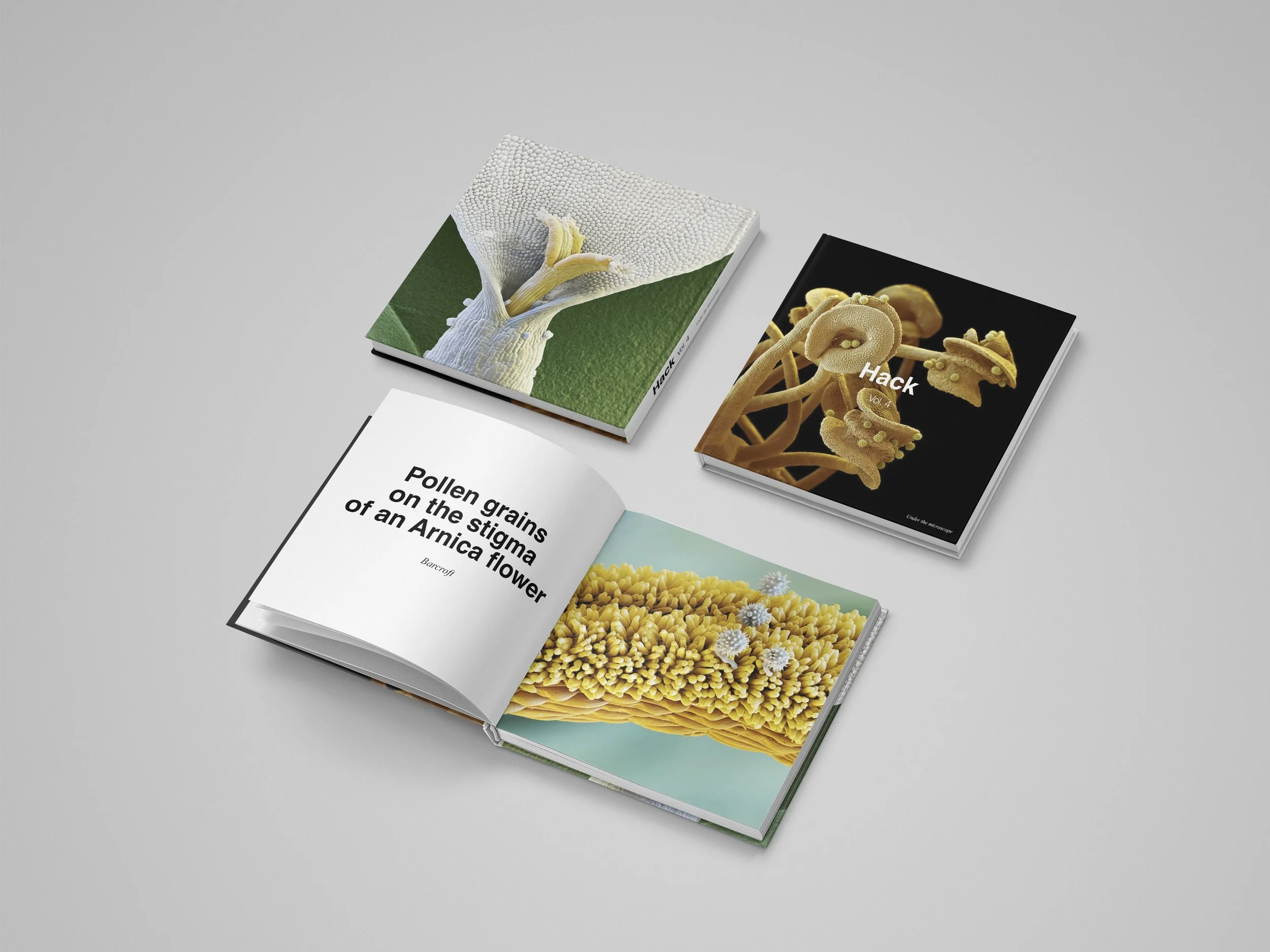 Hack_vol4_Book_Laid_Out copy.jpg