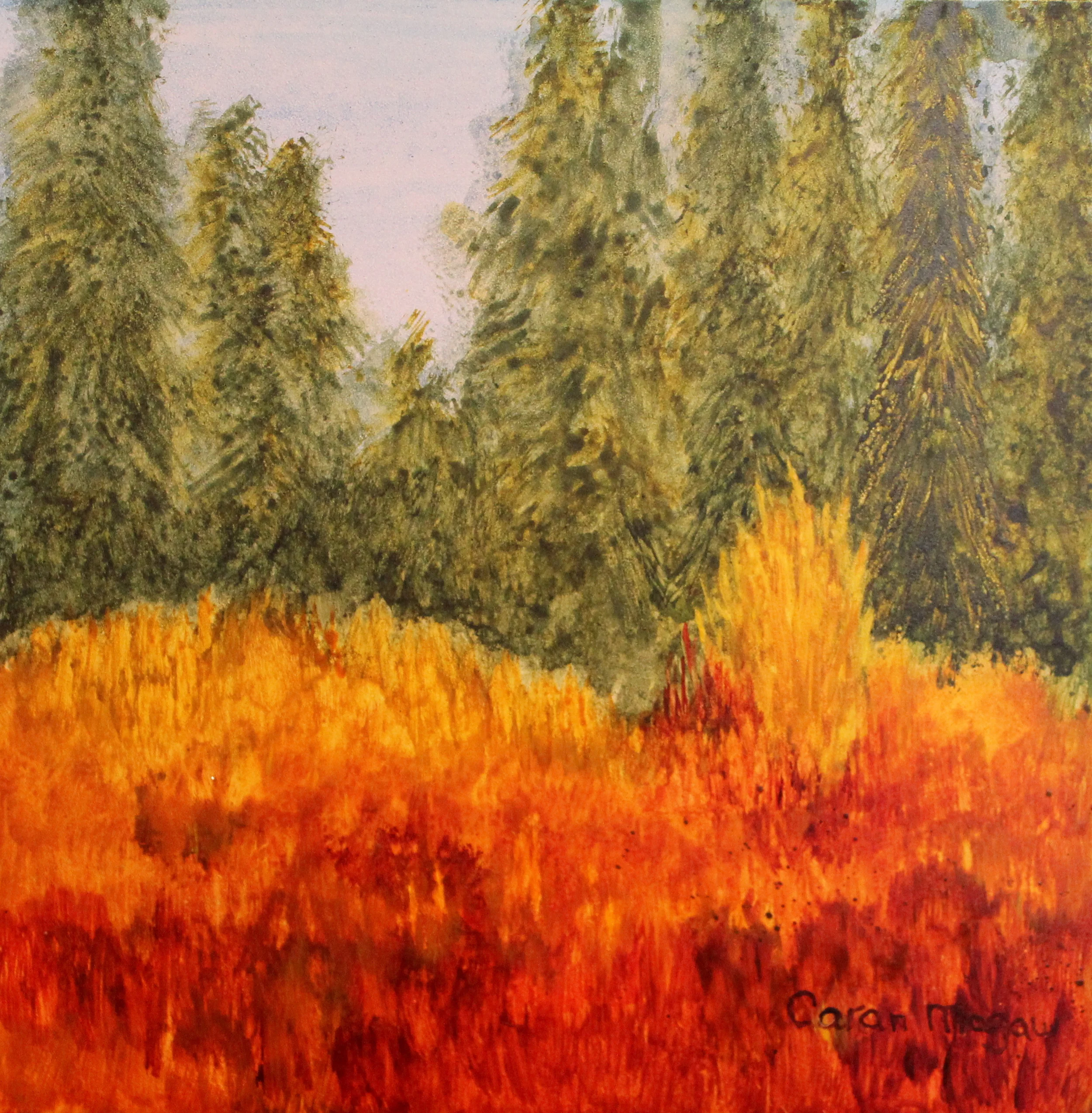 Forest Meadow