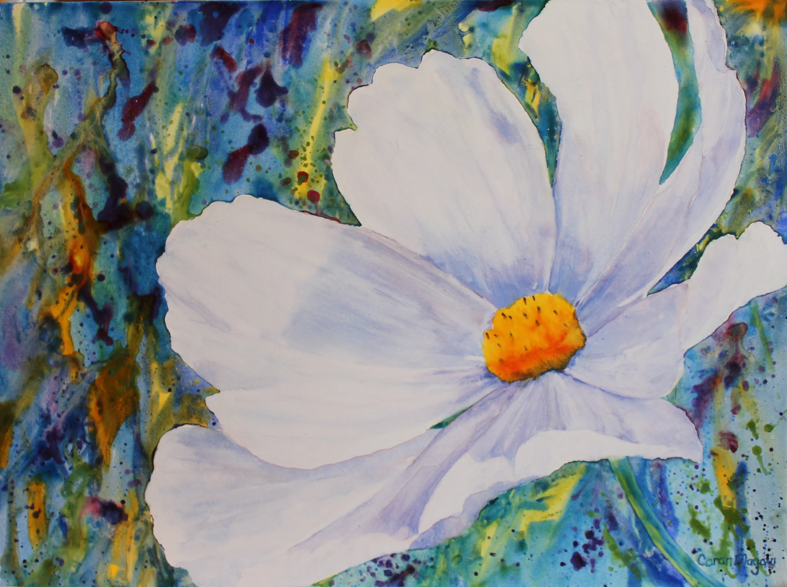 Breezy Cosmos
