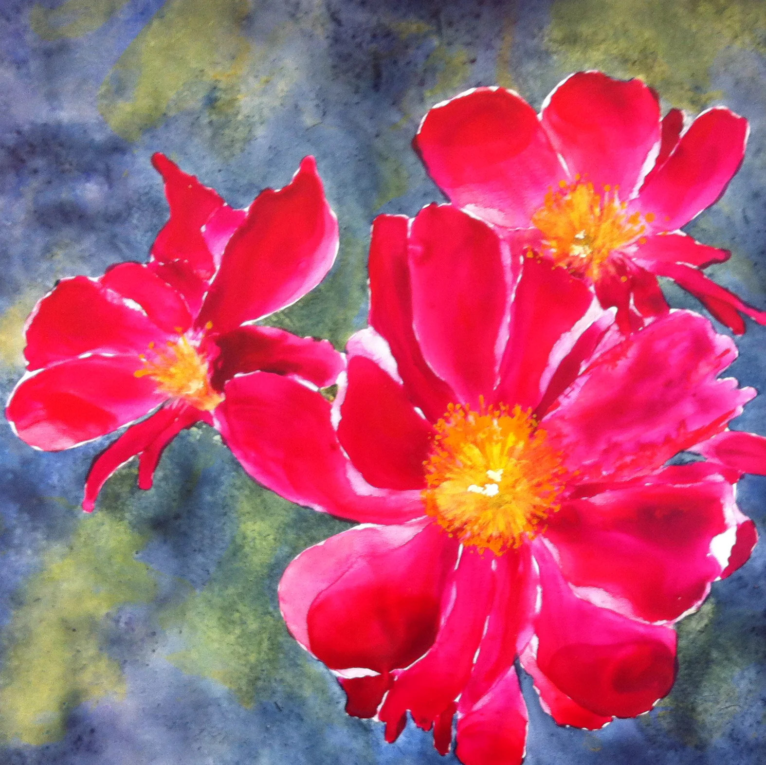 Hot Spot in the Garden