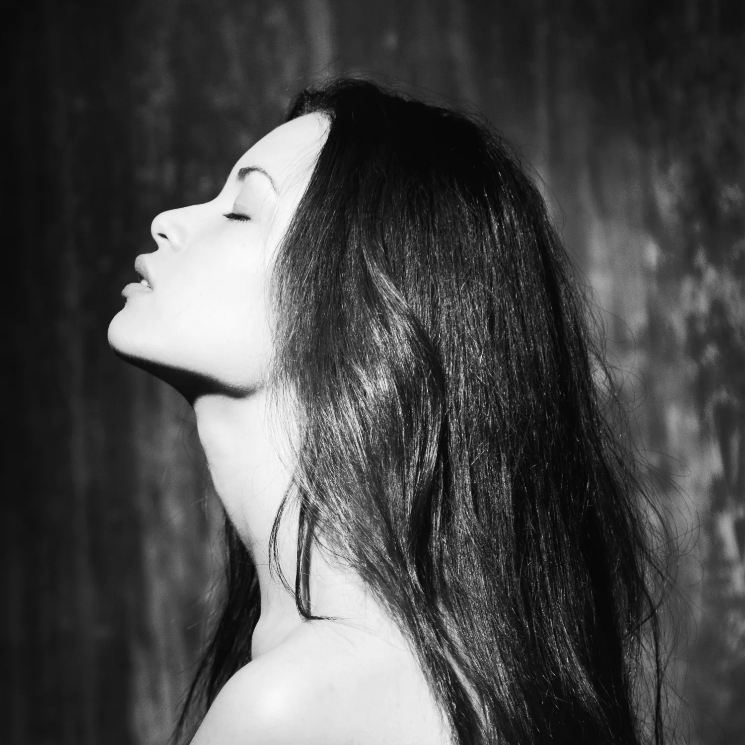 Wilhelmina Models