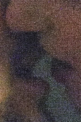 LNT_EL_7v2_crop_2.jpg