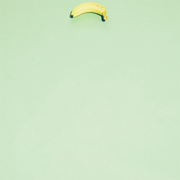Untitled-2_b.gif