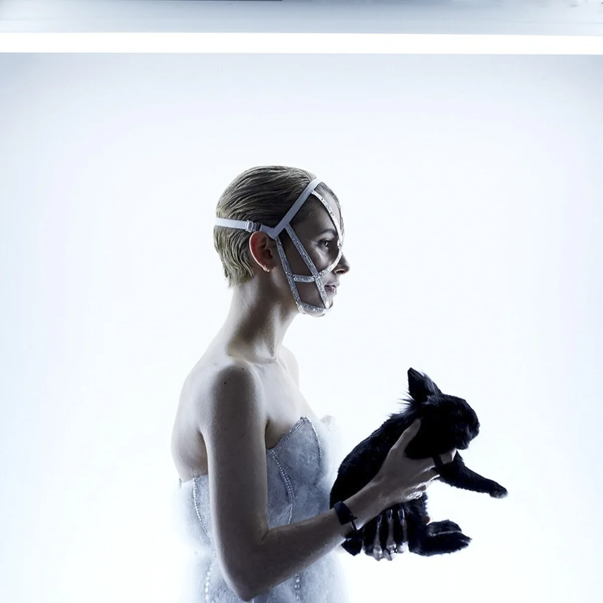 CHROMAT_HOLIDAZED14381_1024x1024.jpg