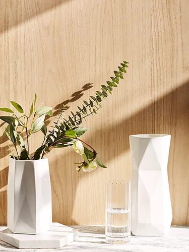 Styled set with 1882 Vase and Pitcher in Bone China with plants and wood