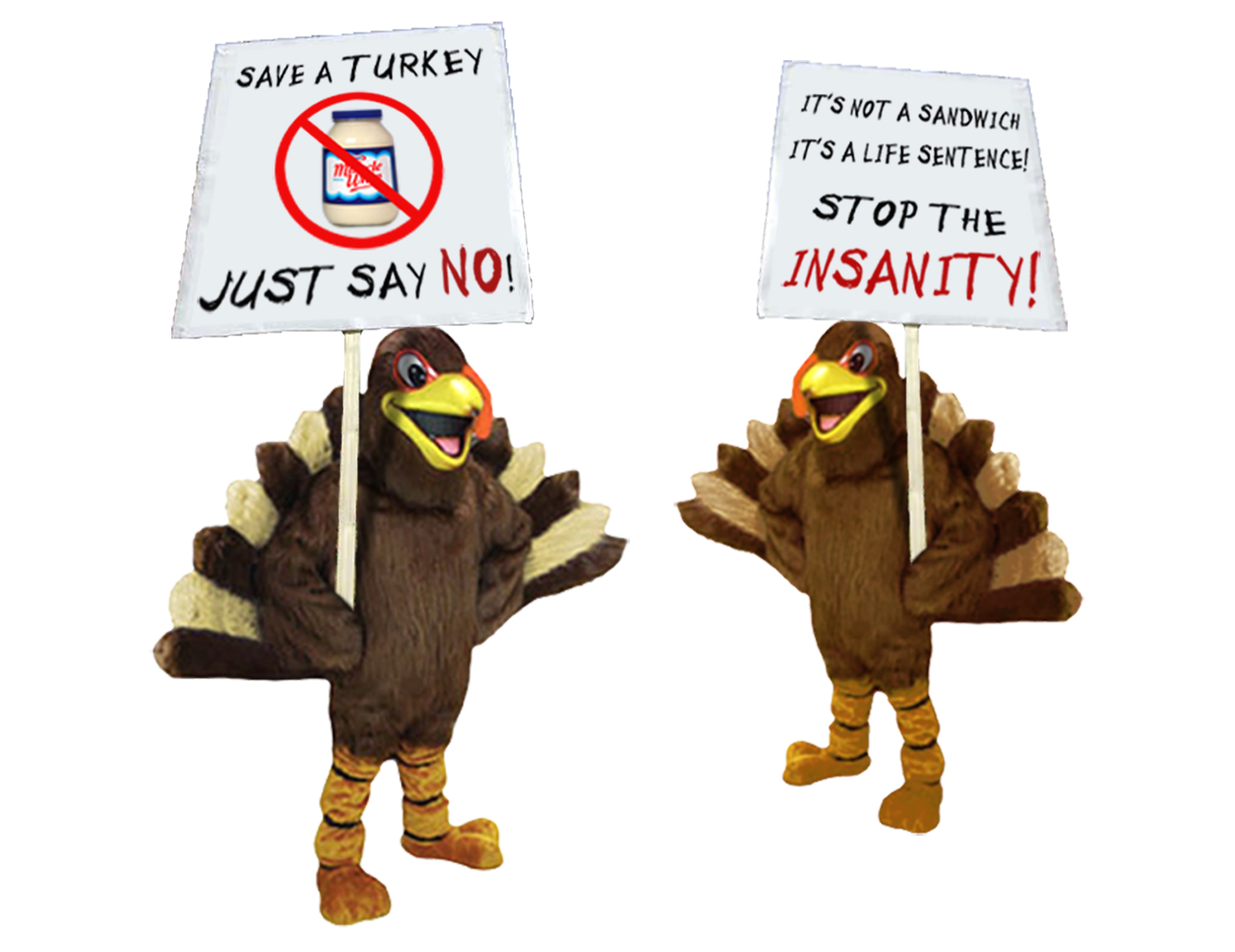 turkey_protest sign_wider.jpg