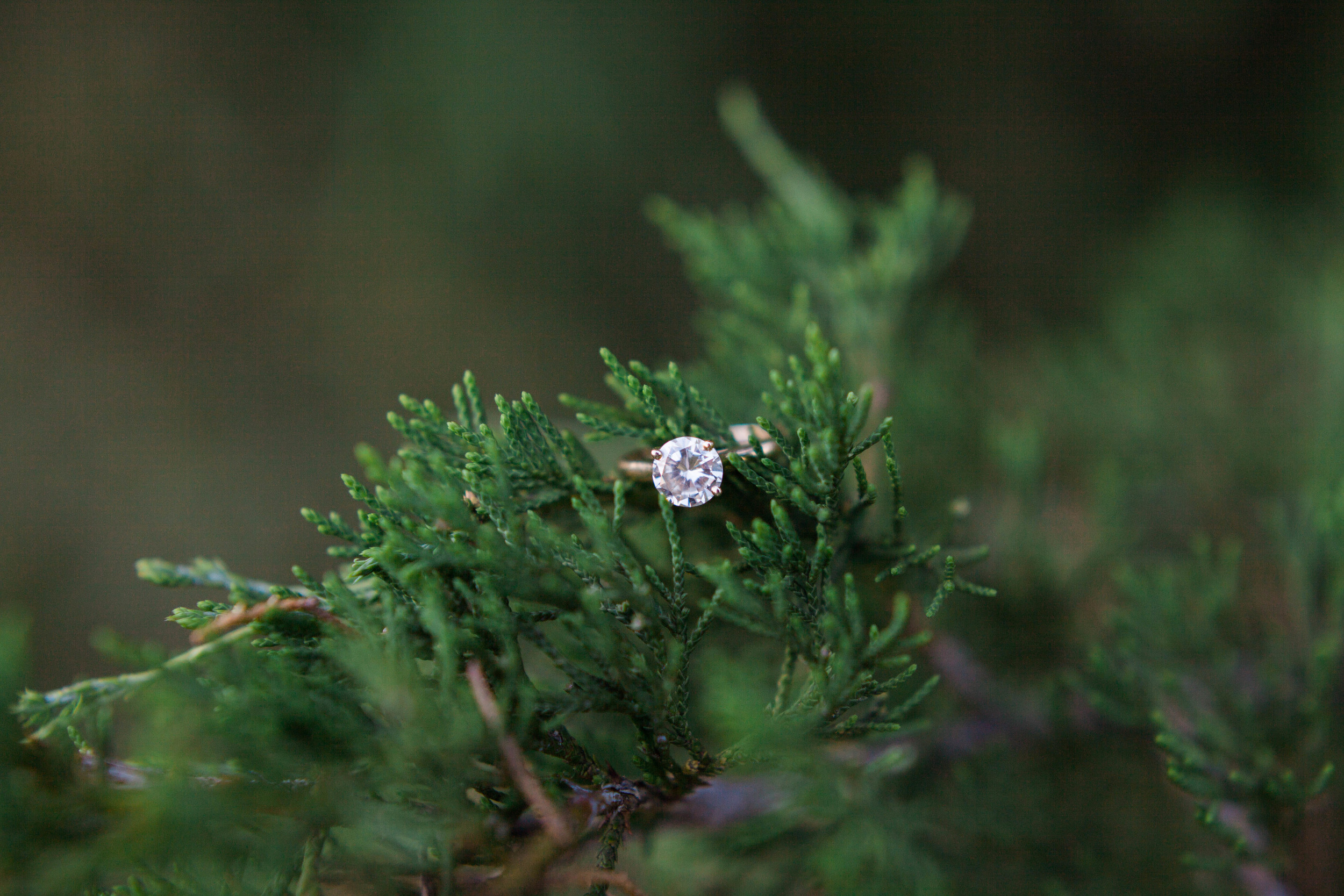 Couple in love at their engagement session at Ellery Farms