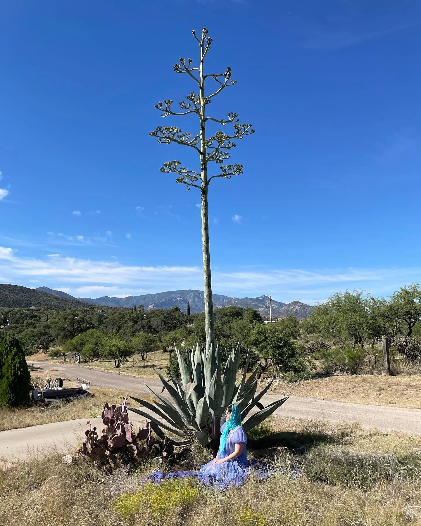 me in the desert
daily visits to this agave
thinking about anticipatory grief