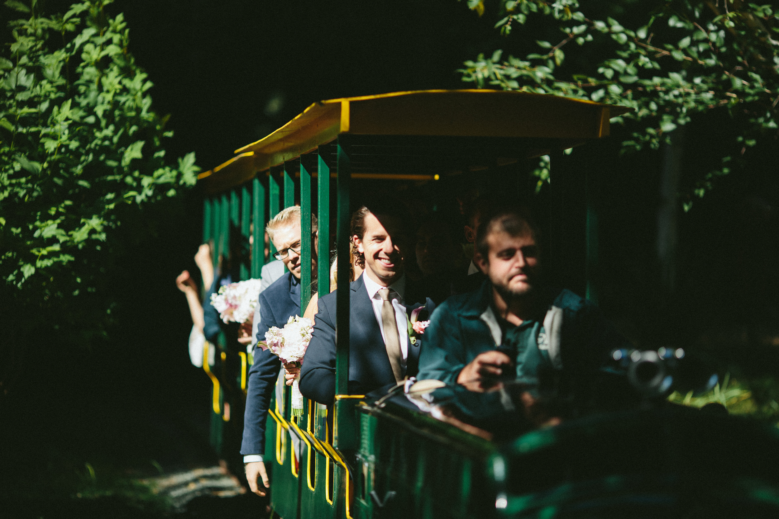 Diana Rothery Photography
