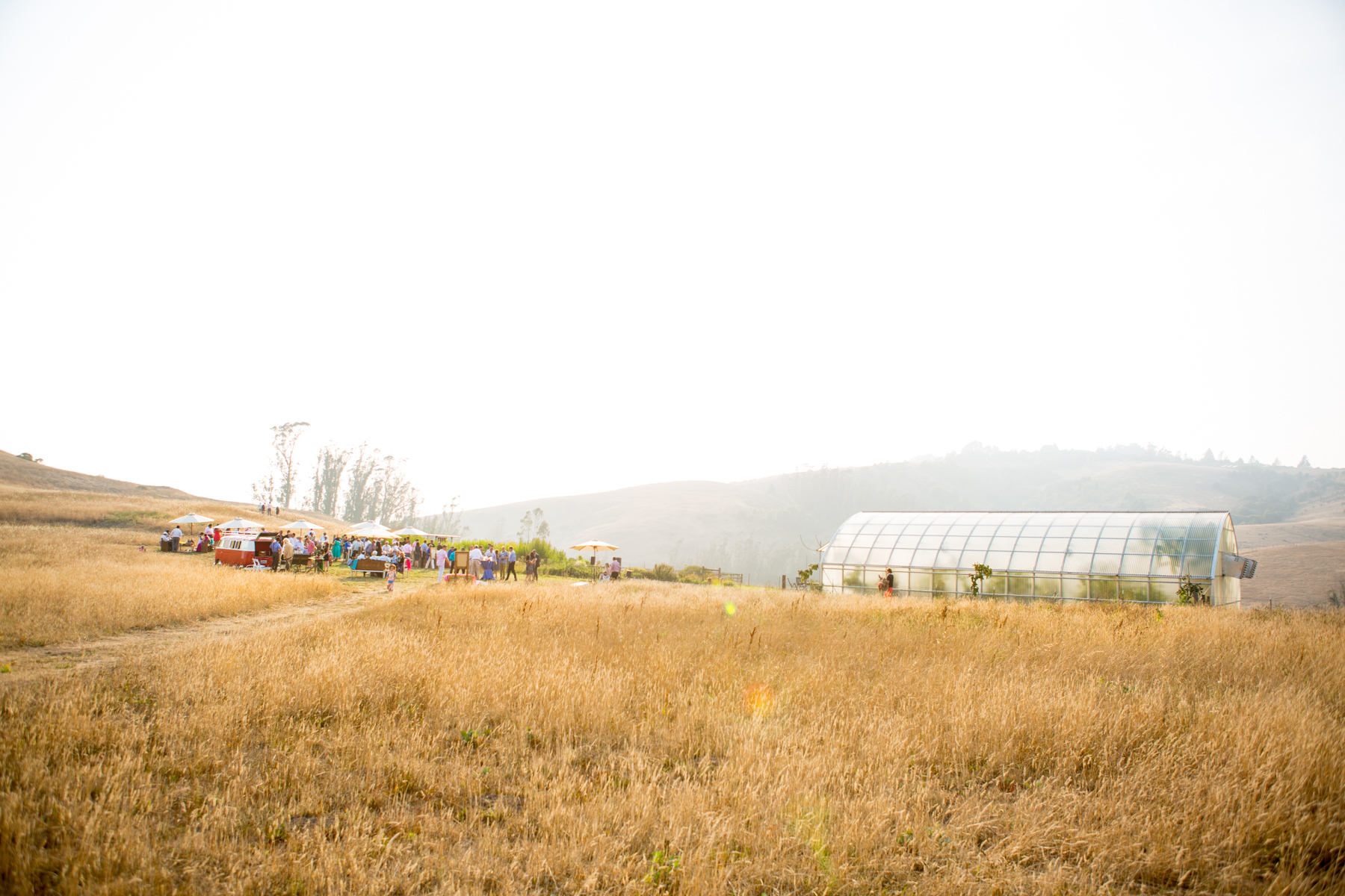 Joe-Tarak-hillside.jpg