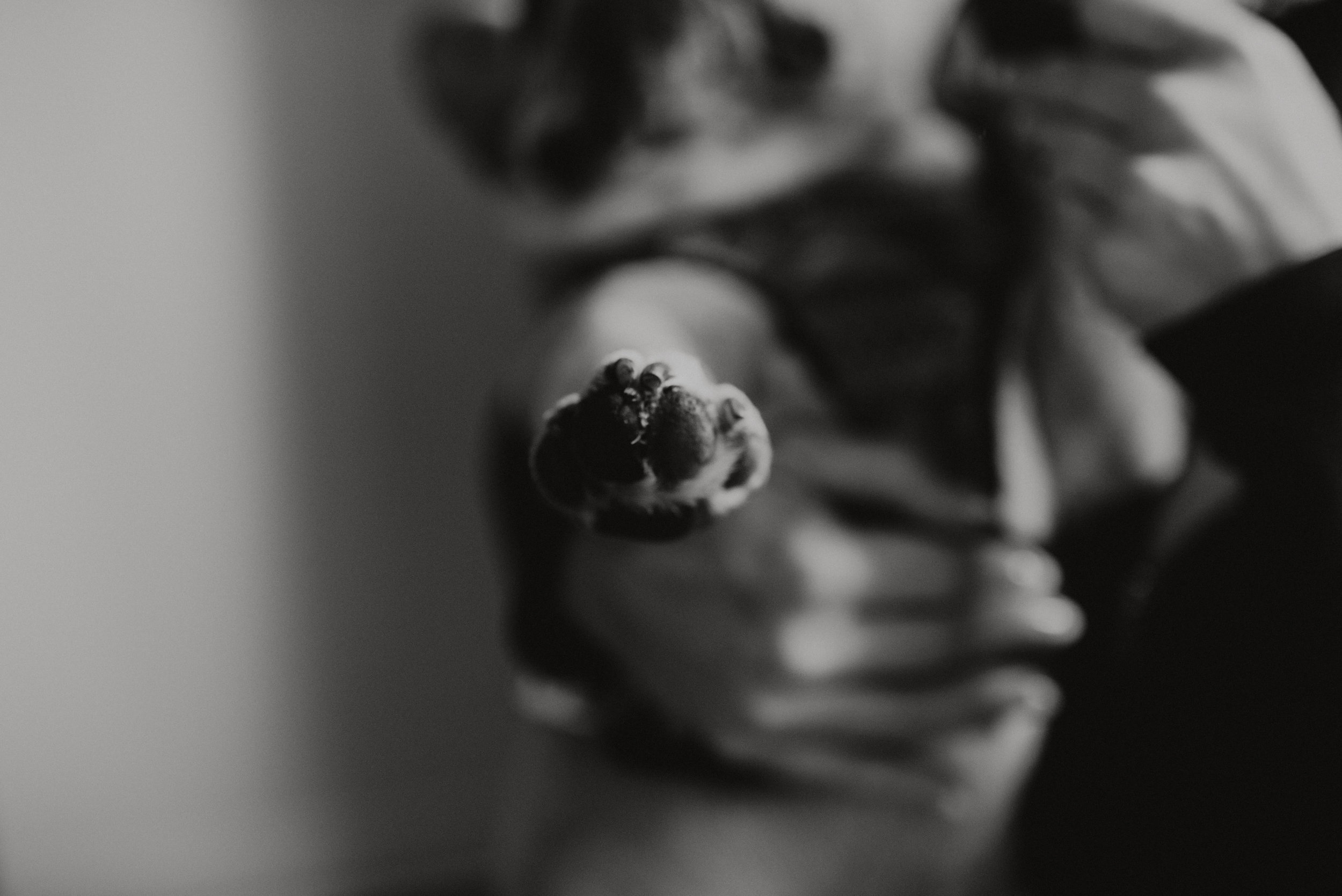 FLICK-61.jpg