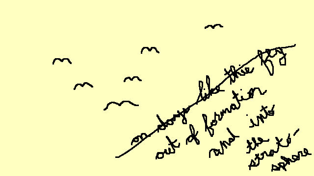 mbird2.png