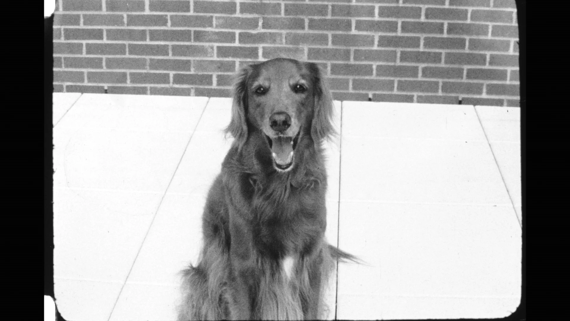 No Captions.00_02_33_19.Still011.jpg