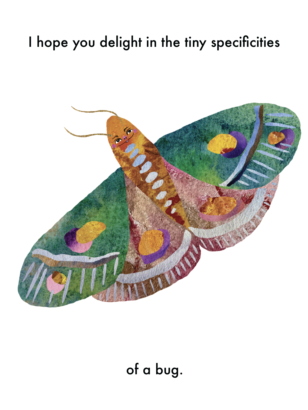 tiny specificities of a bug.PNG