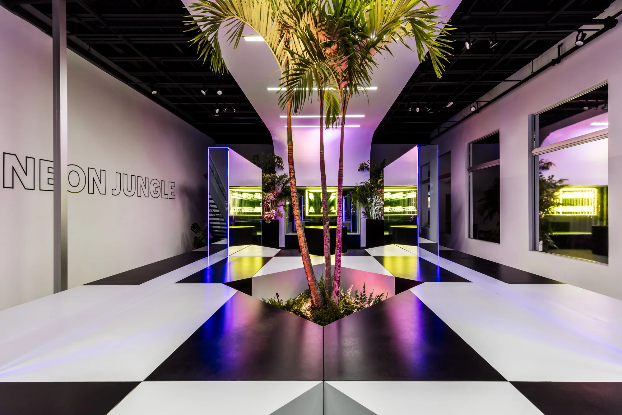 NEON_JUNGLE_PHOOTSHOOT_0152-HDR-EditLoRes.jpg