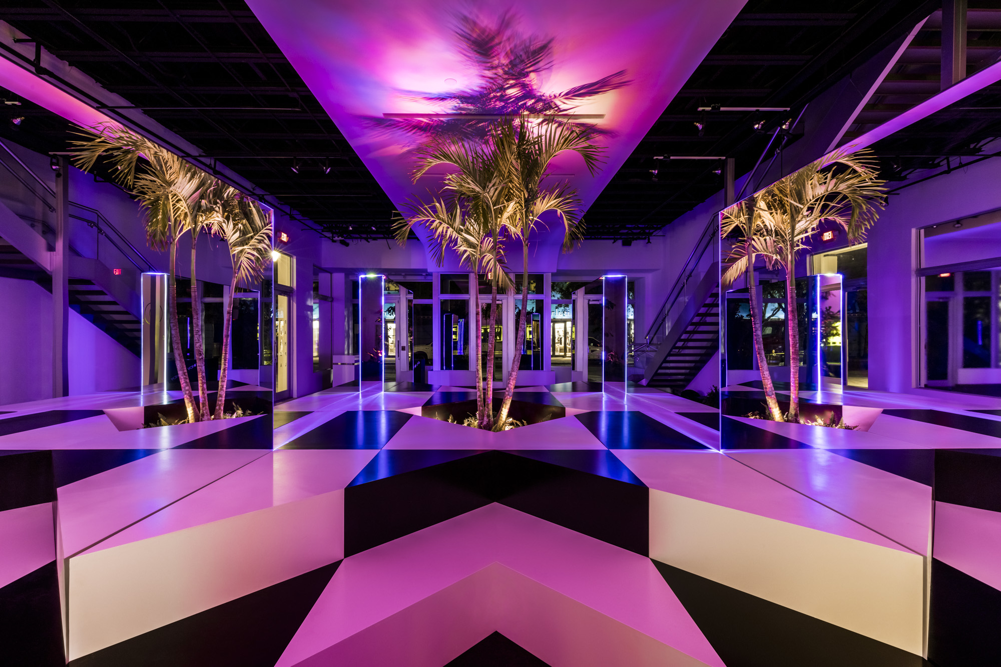 NEON_JUNGLE_PHOTOSHOOT_0103-HDR-EditLoRes.jpg