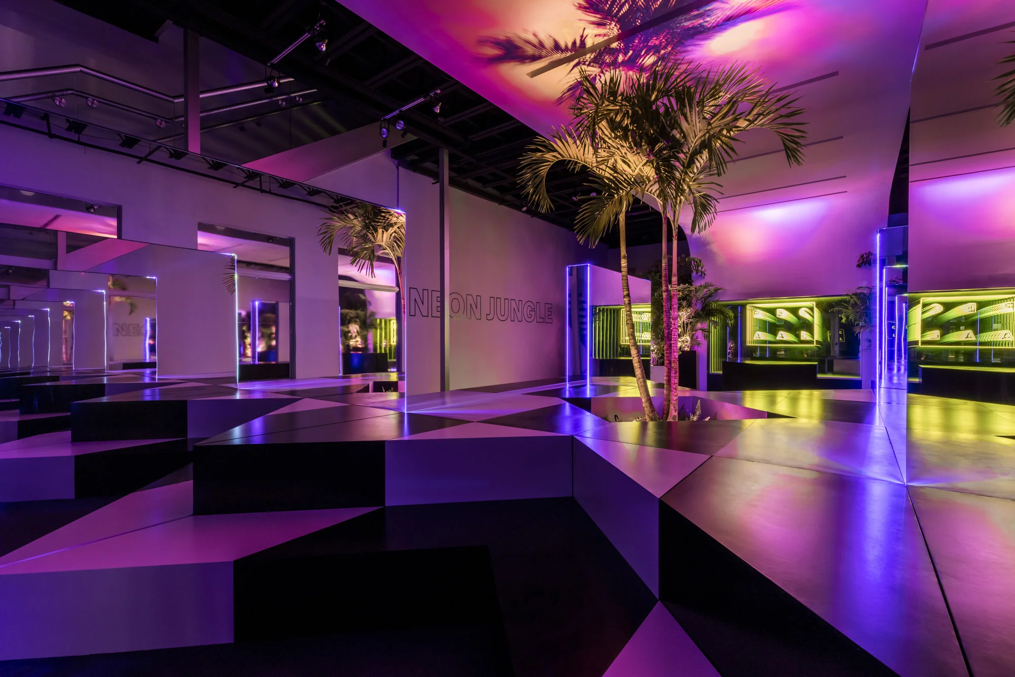 NEON_JUNGLE_PHOTOSHOOT_0158-HDR-EditLoRes.jpg
