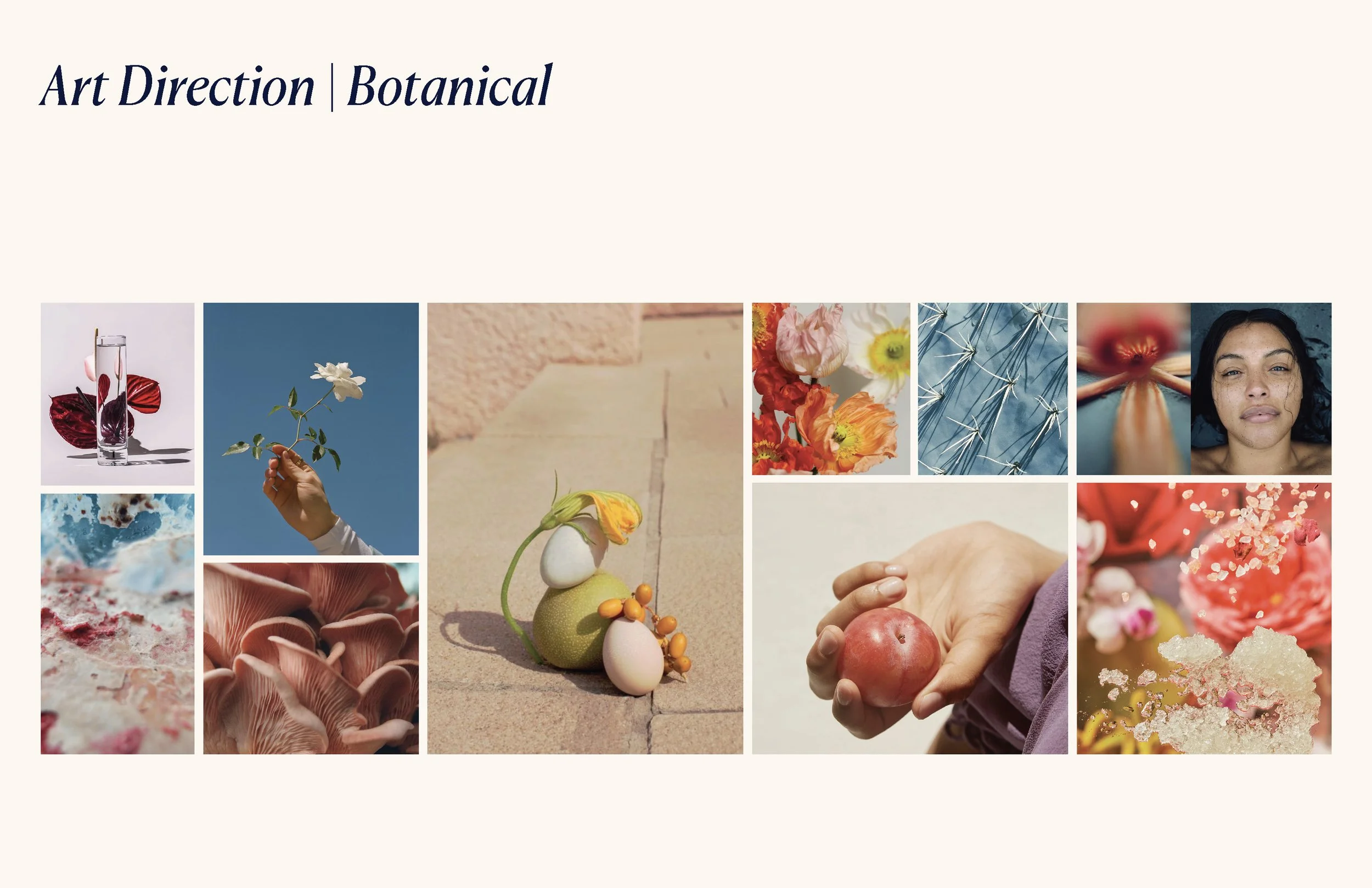JULY_30_2021_ANITA_BRANDING_RD7_DECK_RD4_DESIGN_Page_135.jpg