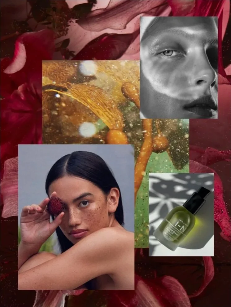 Intelligent Nutrients Branding