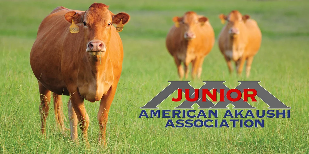Juniors American Akaushi Association