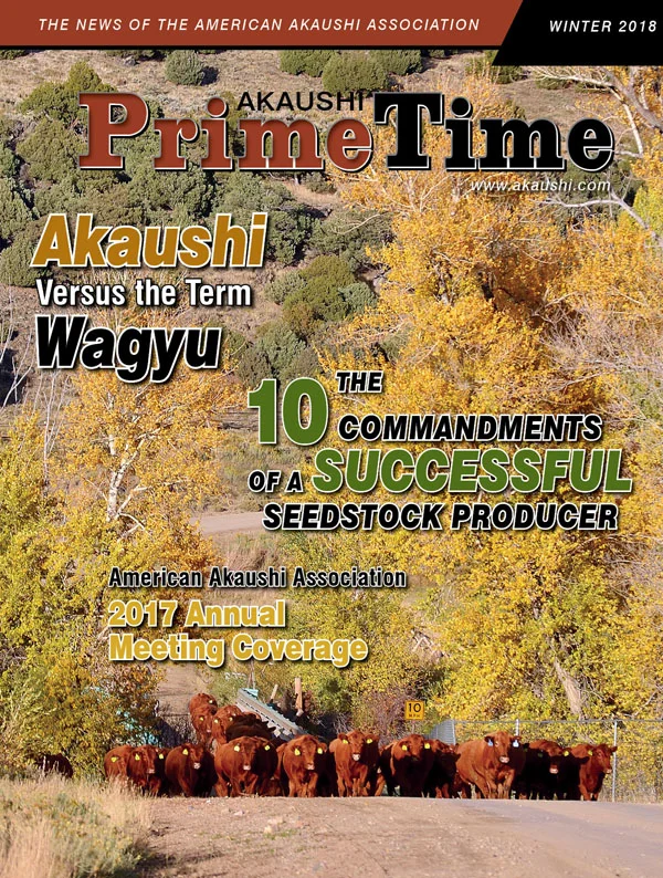 PTW18_Final-Cover.jpg