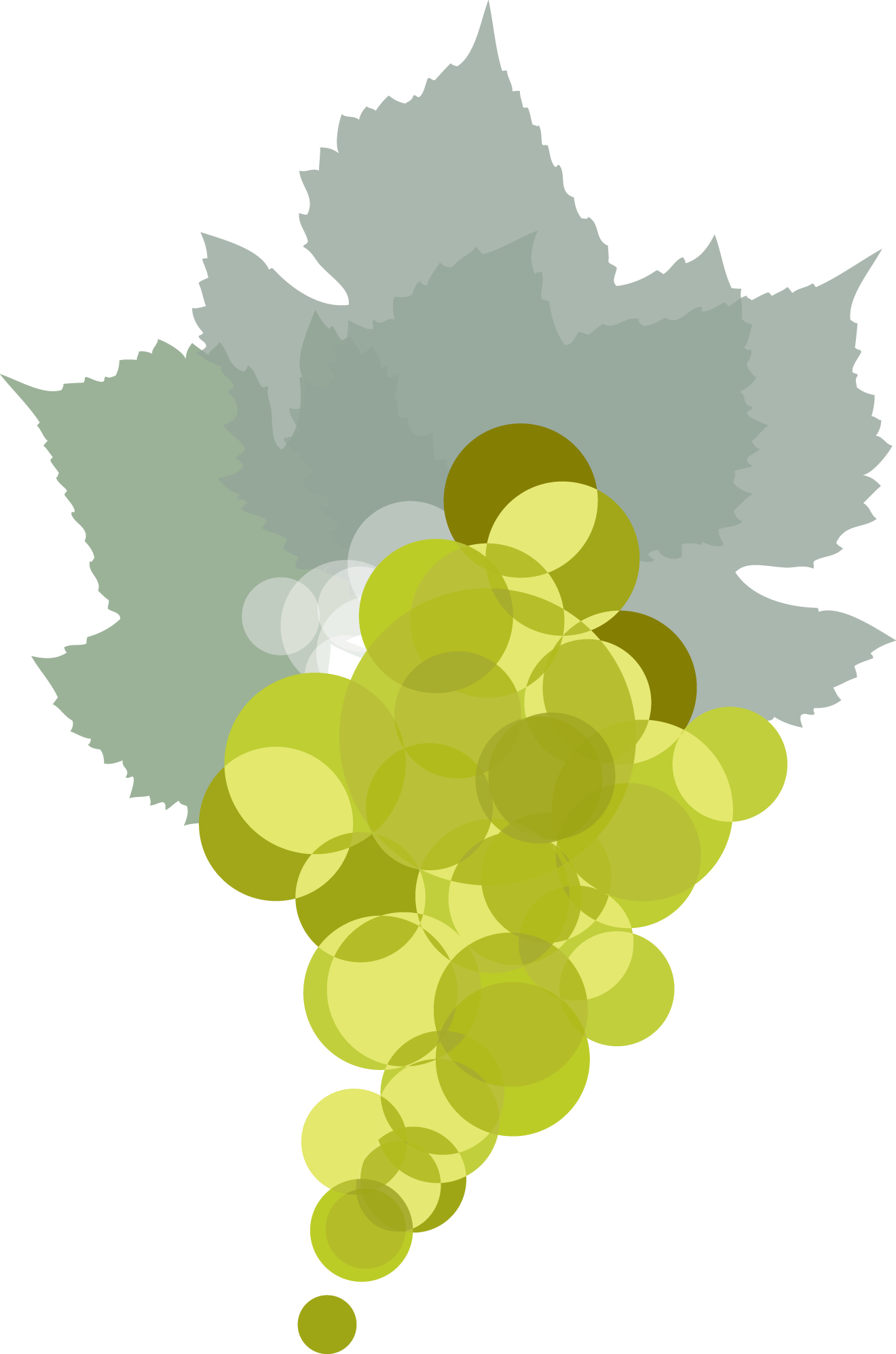 Voignier_Grapes.png