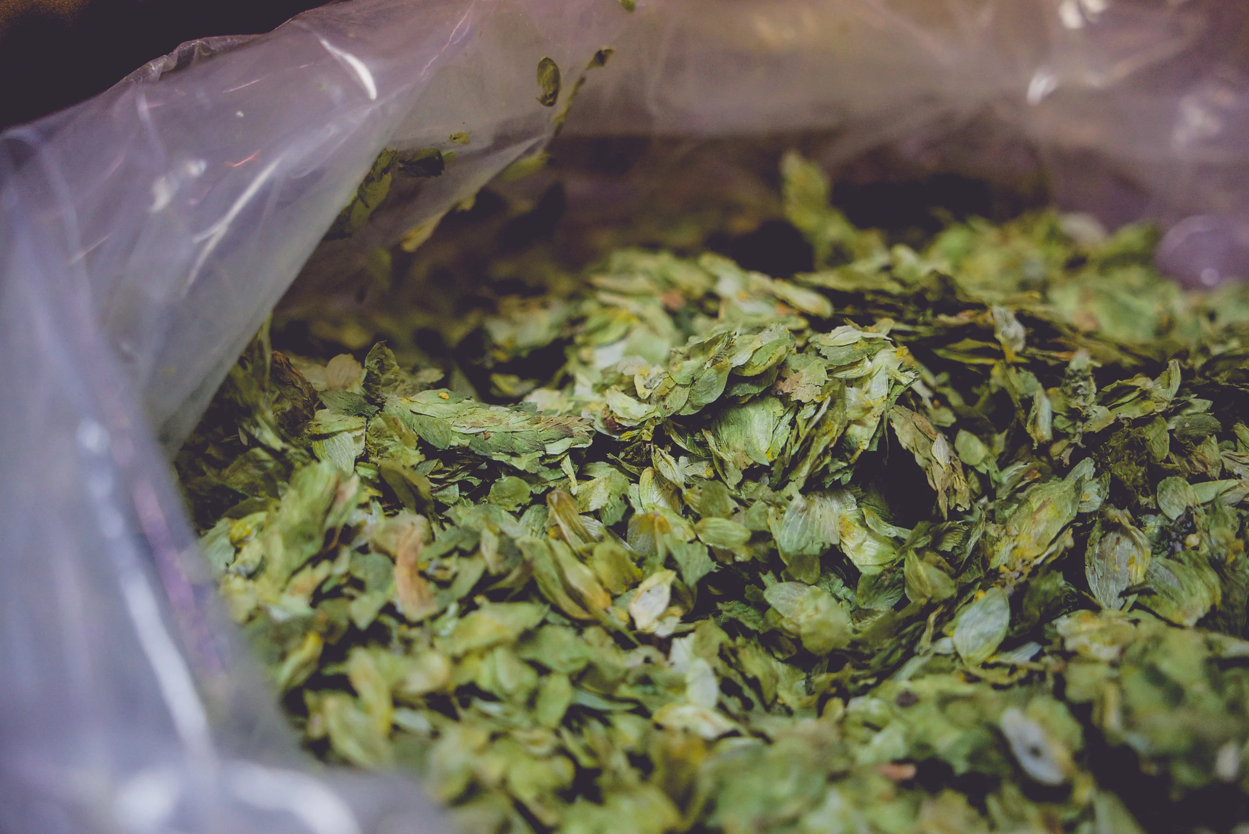 Behind the scenes-36.JPG